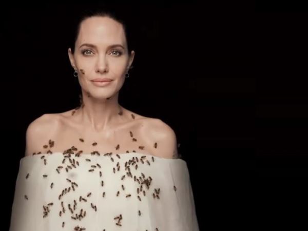Анджелина Джоли стала лицом кампании "Женщины за пчёл"